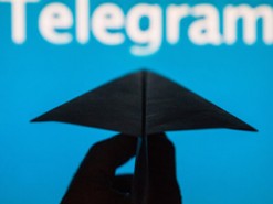 Telegram в России могут разблокировать уже через месяц