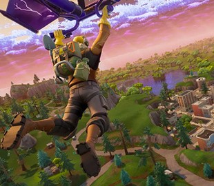 Школьник потратил все деньги матери на онлайн-игру