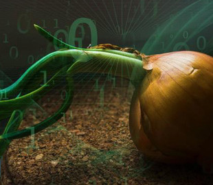 Хакеры атакуют пользователей криптовалют через серверы в сети Tor