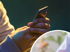 Шахрайство з грошовою допомогою: жінка втратила гроші через фальшиве повідомлення