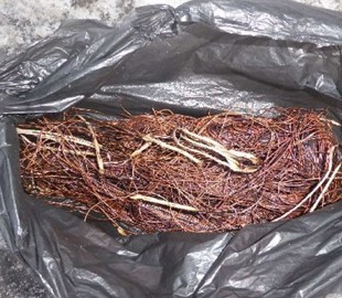 В Киеве мужчины вырезали 60 метров кабеля связи для сдачи в пункт металлолома