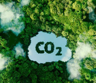 Ученые зафиксировали самый высокий уровень углекислого газа в истории человечества