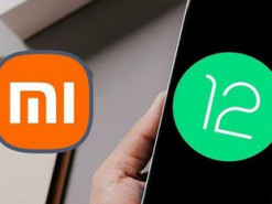 Опубликован список смартфонов Xiaomi, которые получат Android 12