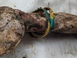 Масове поховання в Ізюмі. Фото з браслетом, яке вразило світ