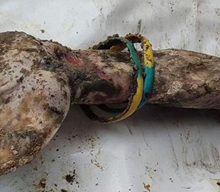 Масове поховання в Ізюмі. Фото з браслетом, яке вразило світ