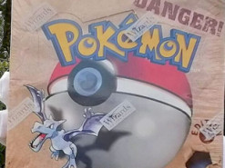 Мужчина нашел дома карточки с покемонами и разбогател