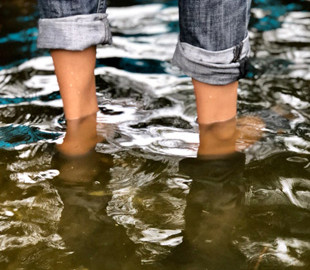 Можна заразитися під час купання у водоймах: що таке лептоспіроз і як запобігти захворюванню