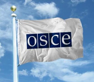 ОБСЕ ищет "тренера" для украинской киберполиции