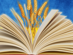 Москвичка написала донос на сина за вивчення української мови