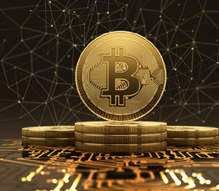 Беспрецедентный эксперимент: как распределяется богатство в сети биткоина