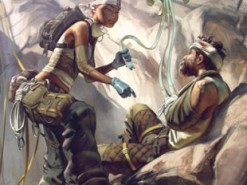 Apex Legends установила новый рекорд и превзошла Fortnite