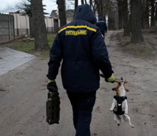 Відшуковує міни та підкорює Інстаграм: як пес Патрон став піротехніком