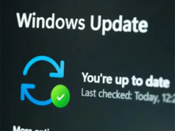Жовтневе оновлення Windows 11 спричинило збій у роботі клавіатур і мишей