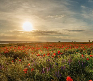 В сеть выложили фото живописных видов Куяльника (Фото)