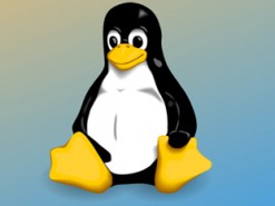 Линус Торвальдс представил новую Linux с номером 5.0