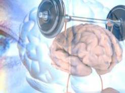 Исследователи определили, как мозг обучается на неожиданных ситуациях