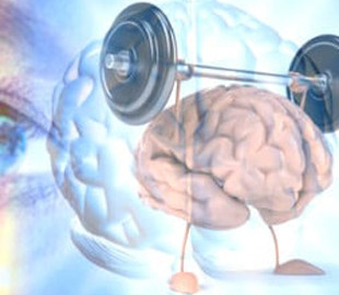 Исследователи определили, как мозг обучается на неожиданных ситуациях