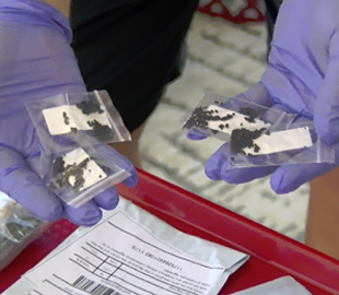 Стало известно, зачем китайцы отправили в другие страны посылки, которые никто не заказывал