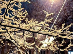 Дощ, мокрий сніг та плюсова температура: синоптикиня розповіла про погоду на 21 листопада