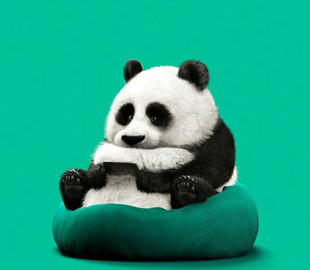 В сети показали снимки животных, если бы они пользовались гаджетами