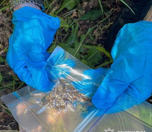 На Черкащині перекрили сім каналів постачання наркотиків через пошту