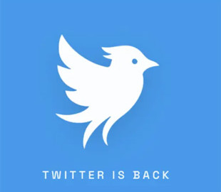 Twitter повертається без Маска: стартап Operation Bluebird запустив альтернативну соцмережу