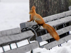 У Кличка розповіли про підготовку столиці до зими