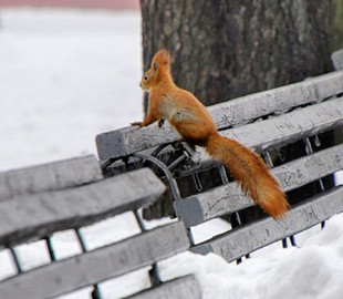 У Кличка розповіли про підготовку столиці до зими