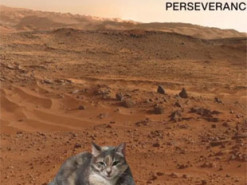 Відчуйте себе Маском. На сайті NASA тепер можна створити своє «фото» з поверхні Марса