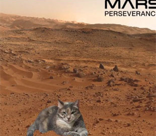 Відчуйте себе Маском. На сайті NASA тепер можна створити своє «фото» з поверхні Марса