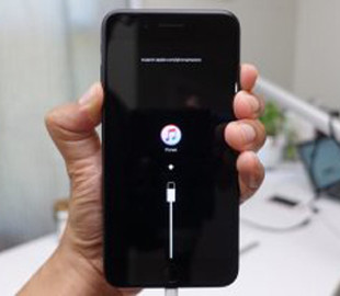 Спецслужби не змогли зламати iPhone завдяки новій функції