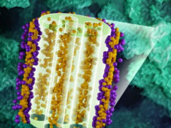 Один из старейших ядерных реакторов США помогает создавать аккумуляторы будущего