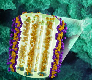 Один из старейших ядерных реакторов США помогает создавать аккумуляторы будущего