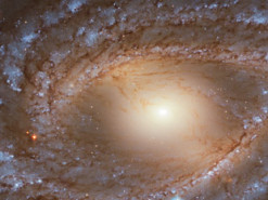 На сайте телескопа «Хаббл» появилось фото космического глаза Жирафа в высочайшем разрешении