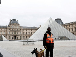 Bild: грабіжники Лувру намагалися продати вкрадені коштовності через даркнет