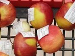 "Закон есть закон": как в Днепре переживают запрет бесплатных кульков (забавные фото)