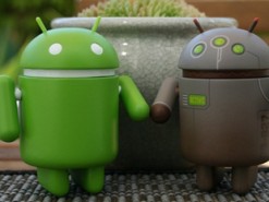 Загадочное устройство Google Coral с чипом Snapdragon 855 замечено в бенчмарке