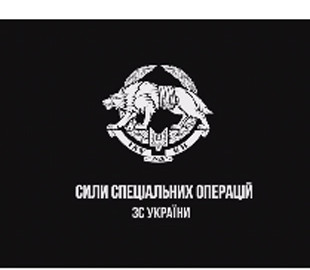Завадив застіллю окупантів: бійці ООС показали на відео роботу дрона-камікадзе
