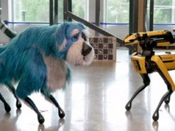 У мережі показали волохатого робота-собаку Sparkles, який вміє танцювати