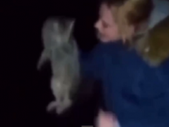 В Харьковской области девушка издевалась над котом и играла животным в футбол