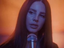 Лану Дель Рей обвинили в расизме из-за фото с лучшими подругами