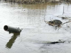 Екіпаж російського танку напився і потопився: курйозне фото