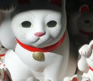 Час для реалізації планів: три знаки Зодіаку, яким пощастить восени