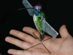 Исследователи из США создали робота-колибри, которым управляет искусственный интеллект