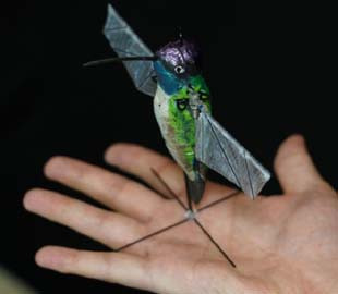 Исследователи из США создали робота-колибри, которым управляет искусственный интеллект