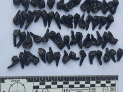 В Одесі затримали "закладчика"