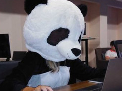 Сотрудникам белорусской IT-компании PandaDoc предъявили обвинение, им грозит до 10 лет тюрьмы