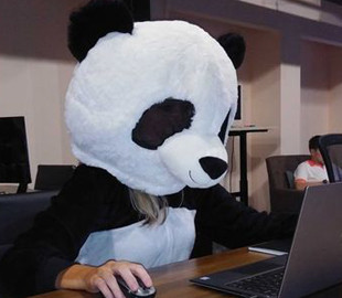 Сотрудникам белорусской IT-компании PandaDoc предъявили обвинение, им грозит до 10 лет тюрьмы