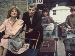 Фотожабы анонимного мастера веселят пользователей соцсетей