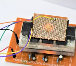Индийские ученые создали мини-лабораторию на чипе для экспериментов в космосе